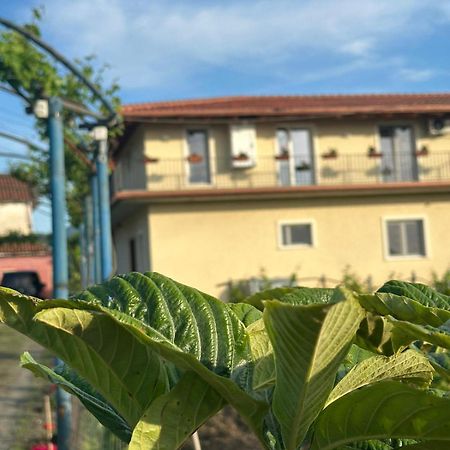 Guesthouse Marku - Mrizi I Zanave Fishte Exterior foto